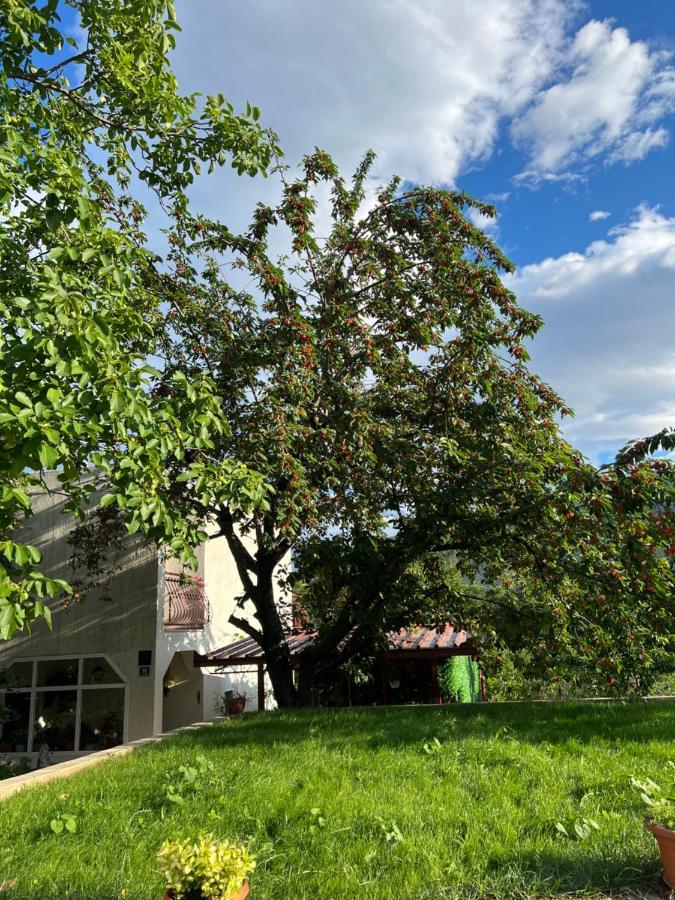 Apartament Green Valley Omiš Екстериор снимка